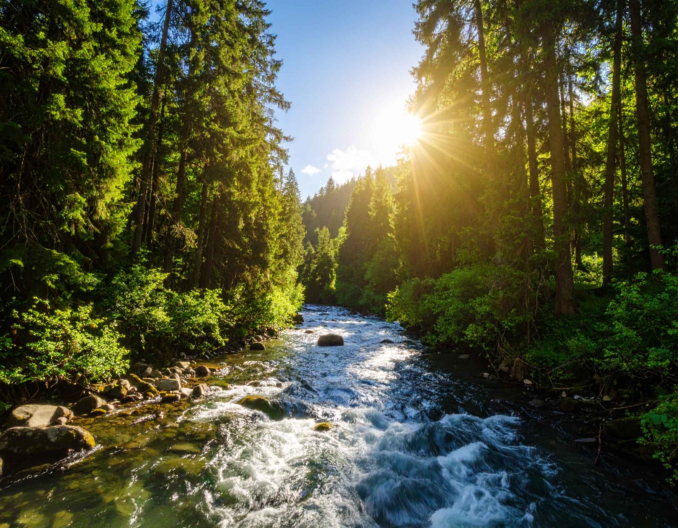 25 Magical Poems About Nature and Love That Will Melt Your Heart